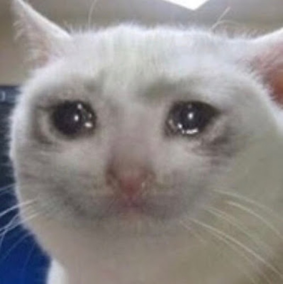 Meet your Posher, Victor - Picture 1 of 1